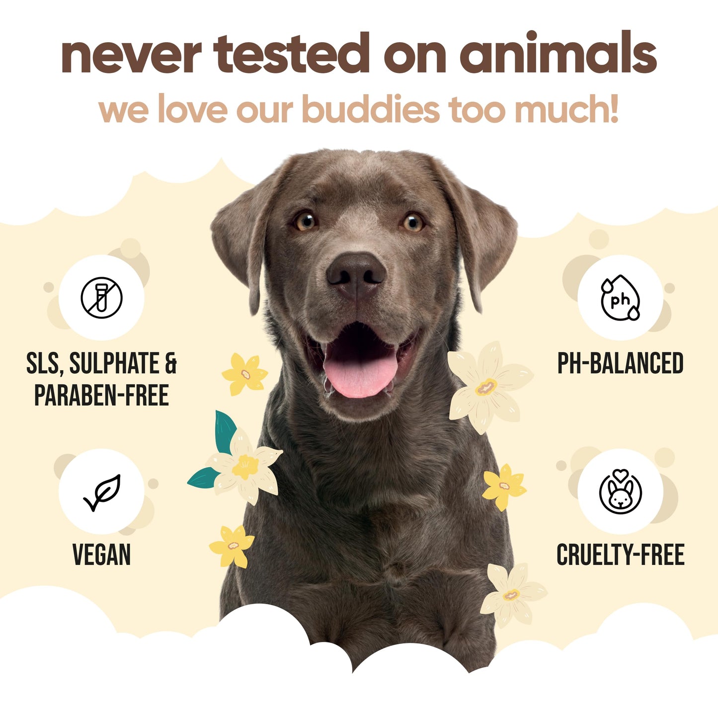 Buddycare Vanilla & Shea Butter Dog Shampoo - (16.90oz) Itch Relief & Dog Shampoo Sensitive Skin Care, Dog Shampoo and Conditioner, Premium Dog Grooming Supplies for All Breeds