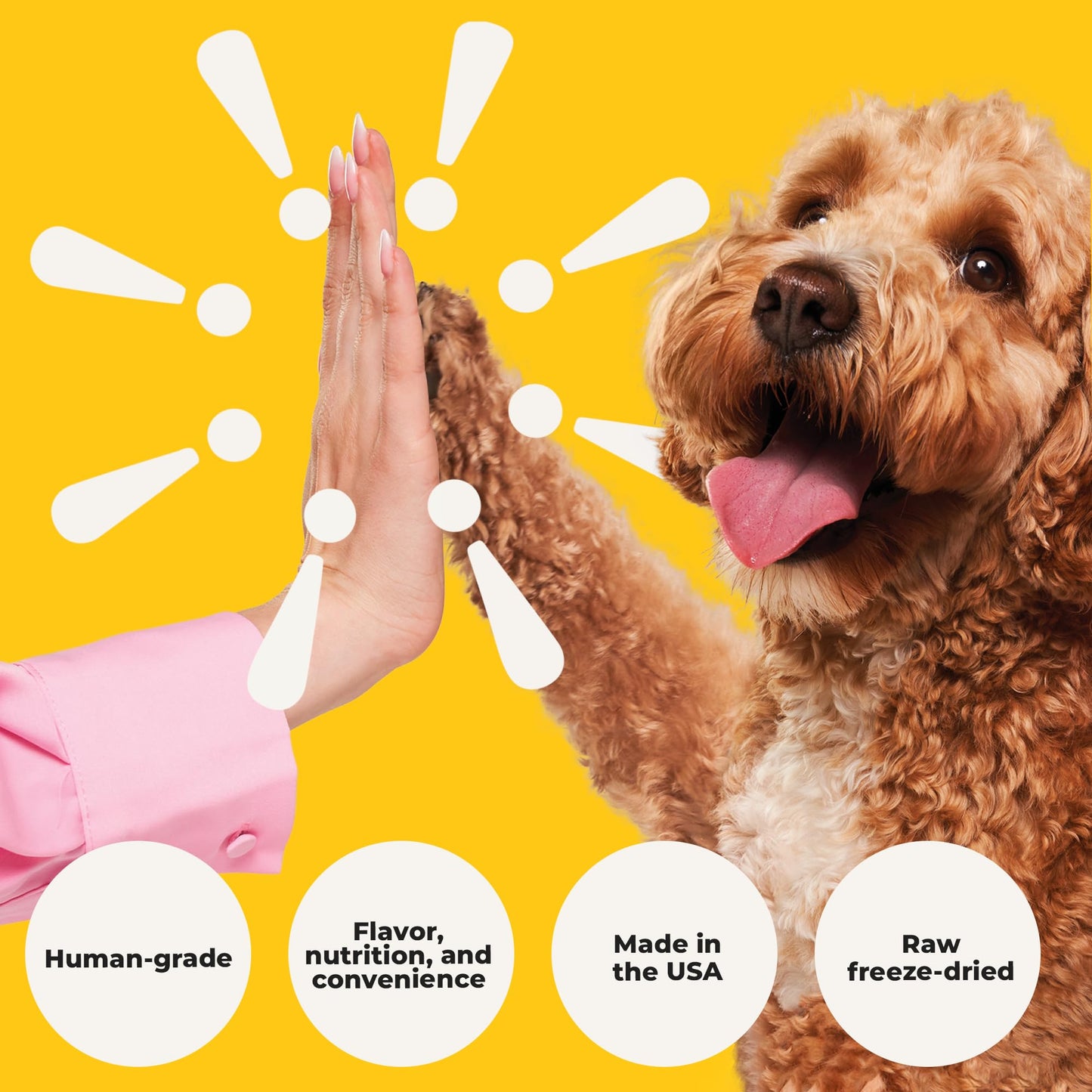 Heckova! Beef Lover - Freeze Dried Beef Liver Dog Treats - Single Ingredient Human Grade Raw Beef Liver Bites for Training, Meal Topper, No Additives, High Protein, 31g Per Cup, 14oz Bag