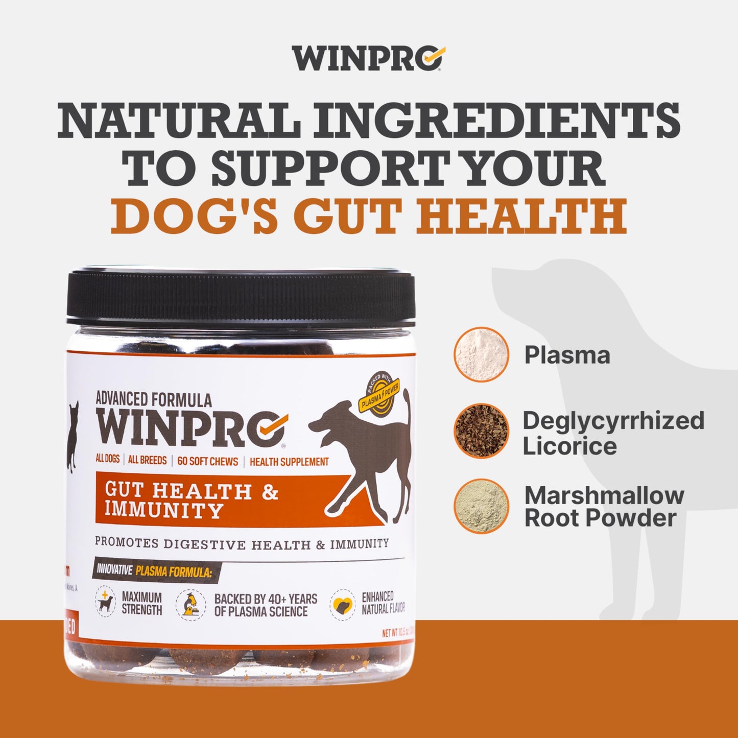 WINPRO Dog Gut Health Supplements – Plasma-Powered Chews for Dog Immune Support & Digestive Health, Fast-Acting Solution for Gut Health for Dogs of All Breeds & Sizes, 60 Count, Made in USA