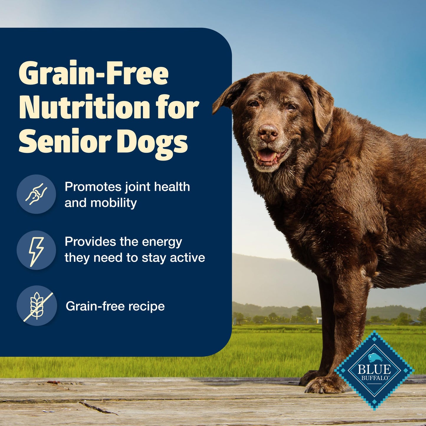Blue Buffalo Freedom Grain-Free Senior Dry Dog Food, Provides Energy To Stay Active, Made in the USA With Natural Ingredients, Chicken & Potatoes, 4-lb Bag