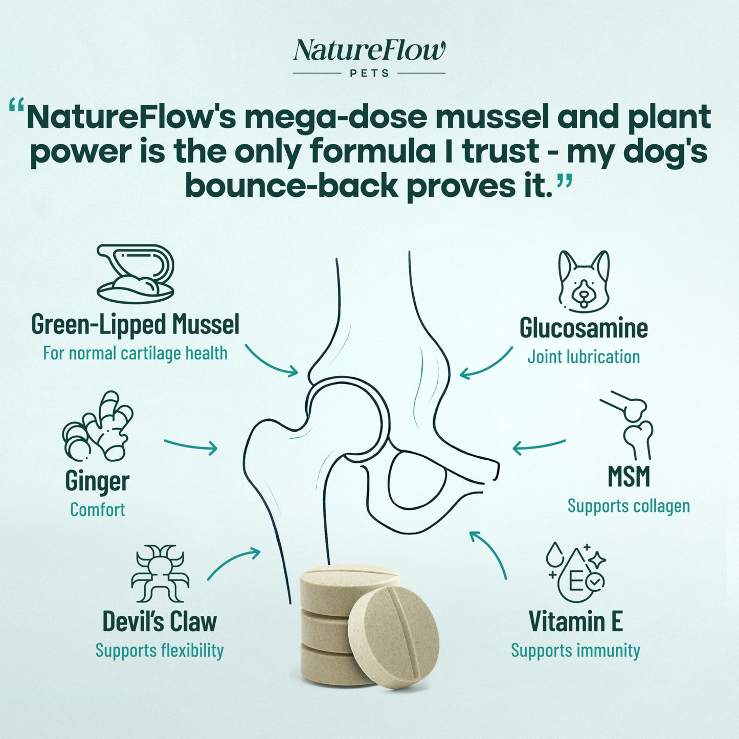 Hip and Joint Supplement for Dogs 200ct Power of Nature Made in USA, Up to 400 Days Unique Formula: Green-Lipped Mussel, Glucosamine, Chrondroitin, MSM, Devils Claw, All Breeds (Small and Large Breed)