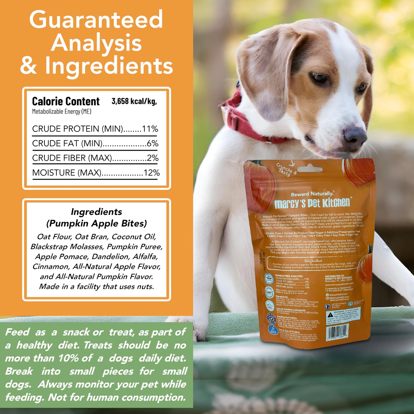 Marcy's Pet Kitchen- Diabetic All Natural, Crunchy, Pumpkin Biscuit Dog Treats - No Preservatives-Crunchy Approved- Vegan, Gluten Free, Human Grade, Made in The USA, Healthy Pumpkin Dog Treats