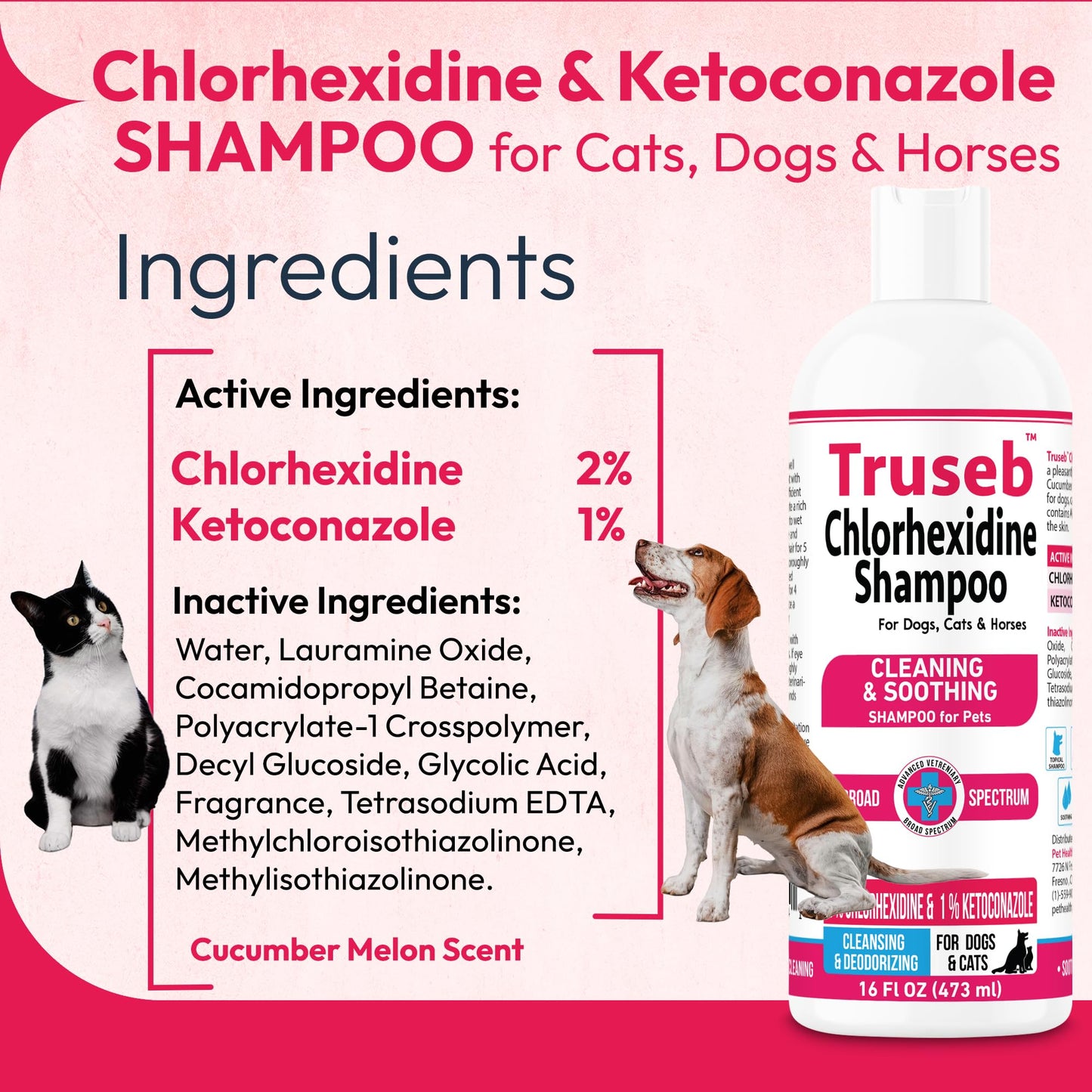 Truseb Topical Ketoconazole and Chlorhexidine Shampoo for Dogs, Cats, and Horses with Aloe - 16 oz (Ketoconazole & Chlorhexidine Shampoo, 16 oz)
