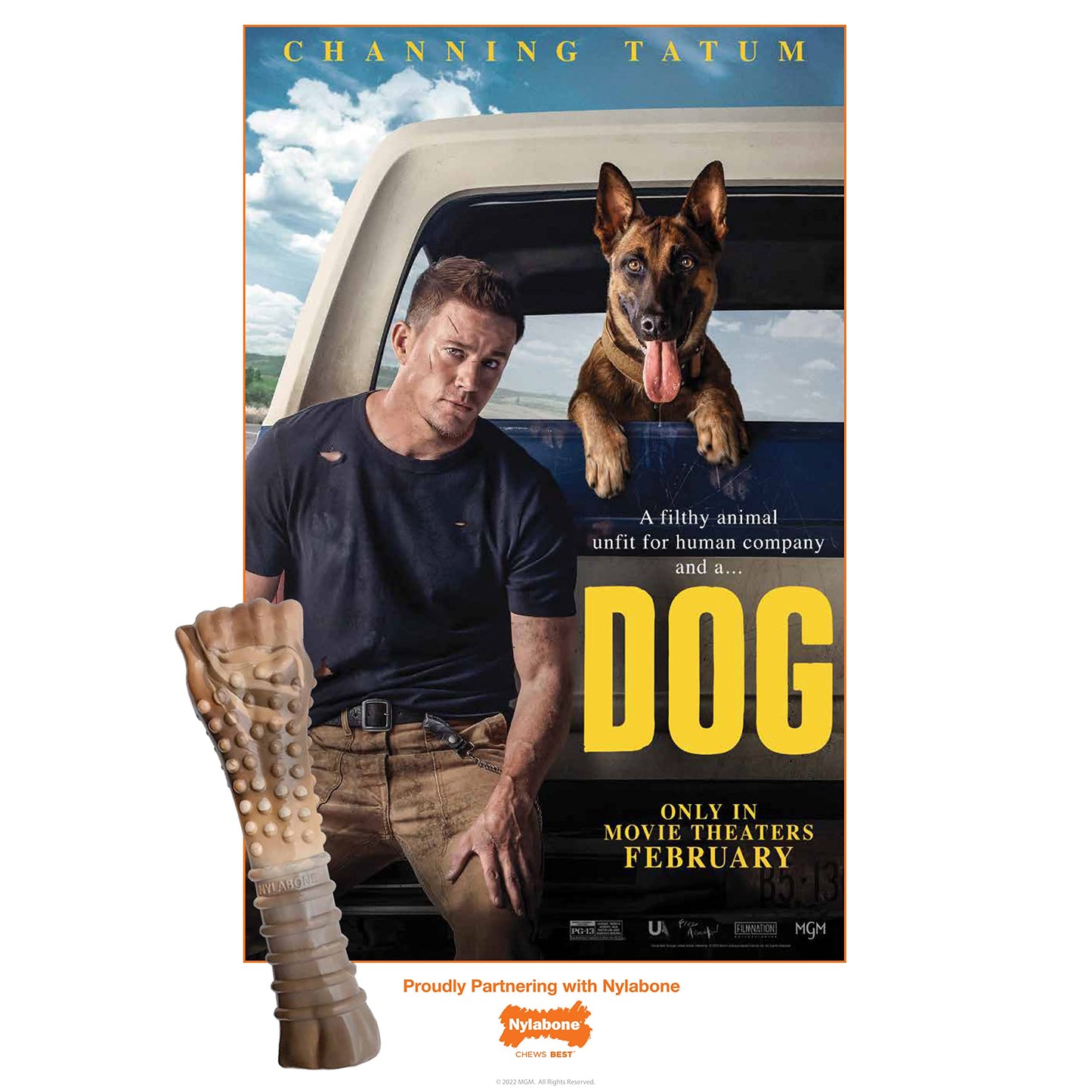 Nylabone Power Chew Camo Dog Toy - Dog Toys for Aggressive Chewers - Indestructible Dog Toys for Aggressive Chewers Large Breed - For Extra Large Dogs - Chicken Flavor X-Large/Souper - 50+ lbs.