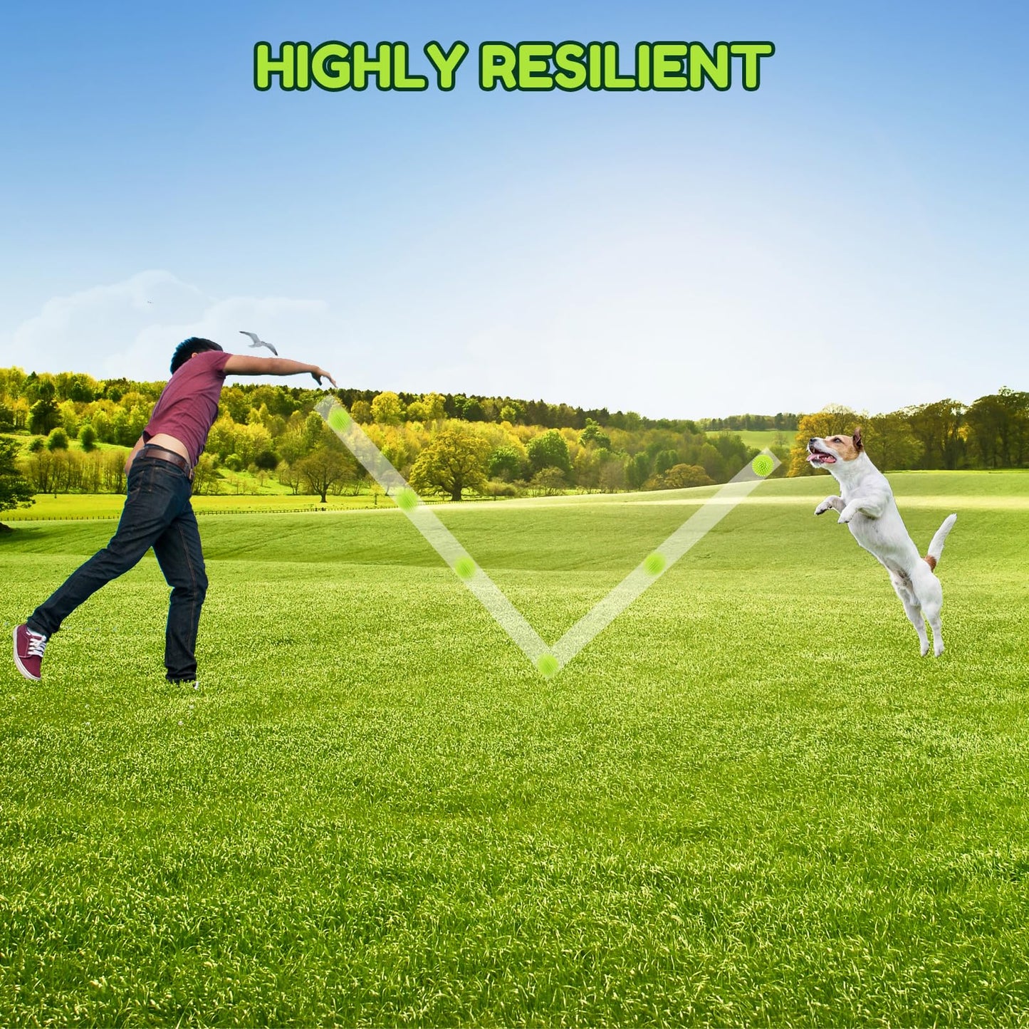 2.5" Squeaky Dog Balls for Small Medium Dogs, 6 Pack Small Dog Chew Toys with Spike, Puppy Toys for Teeth Cleaning and Training (Green 6 Pack)