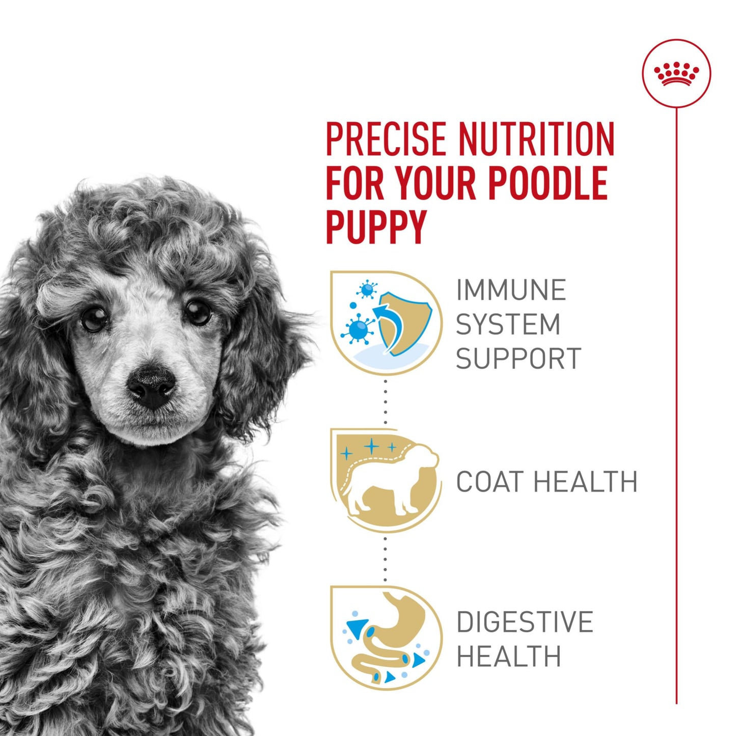 Royal Canin Breed Health Nutrition Poodle Puppy Dry Dog Food, 2.5 lb Bag