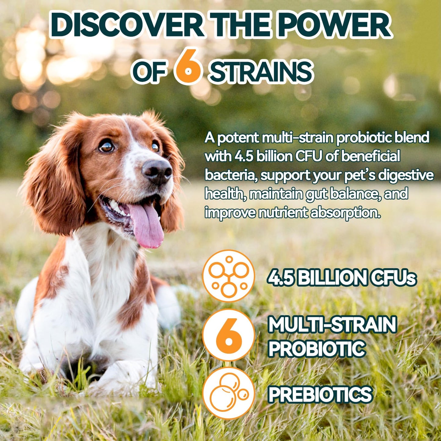 Cat Allergy Relief & Probiotics for Dogs Chews - 200 pcs Itchy Skin & Paw Licking Relief - Omega 3 & Probiotic for Cats - Fibre for Dogs Anti Diarrhea, Upset Stomach, Gas Relief, Itchy Skin (Chicken)