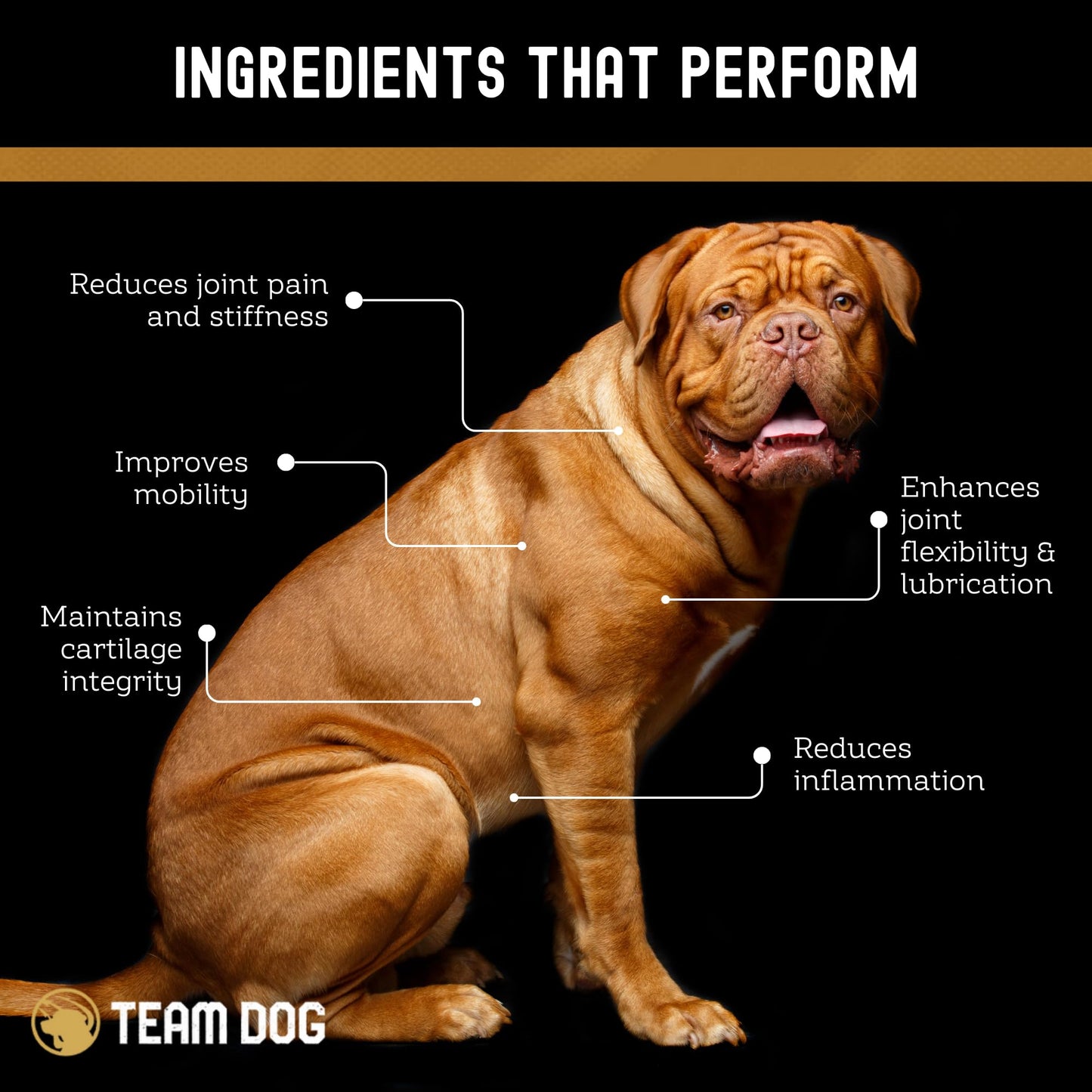 TEAM DOG Hip and Joint Chews for Dogs | Arthritis & Joint Support Supplements for Dogs | MSM, Chondroitin & Glucosamine | Small, Medium & Large Breed | Chicken, Duck & Pea Flavor | 120 Count