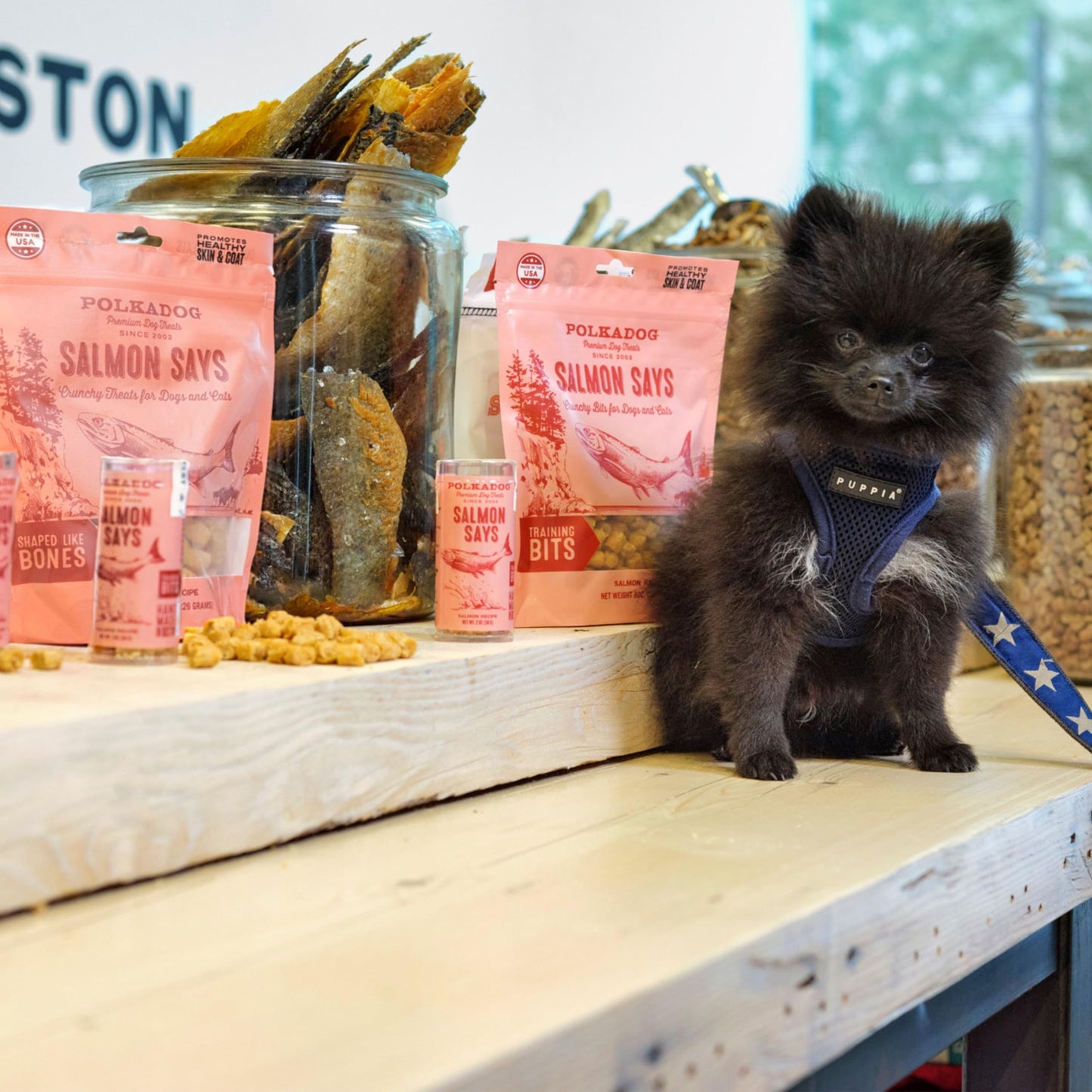 Polkadog Salmon Says Training Bits - Omega-3 Rich, Low Fat Healthy Dog Treat - Digestible, Vitamin & Mineral Packed Dog Snacks - Crunchy 3-Ingredient Treat, Ideal for Dogs with Allergies - 7oz