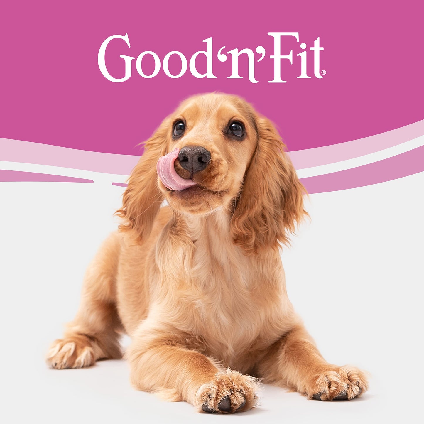 Good 'n' Fit Twist Sticks Made with Real Lamb, 15 Count, Treat Your Dog to Long-Lasting and Highly Digestible Rawhide Chews
