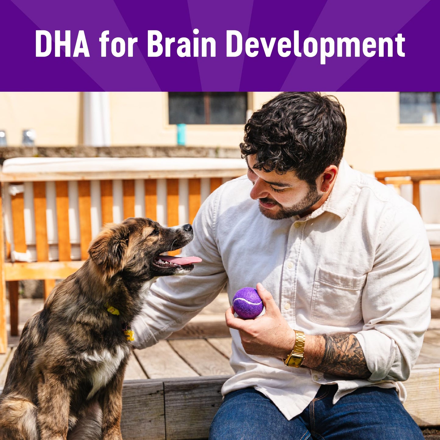 Wellness Puppy Treats, Natural, Training Treat, Grain Free, Crunchy Chicken & Carrot (6 Ounce Bag)