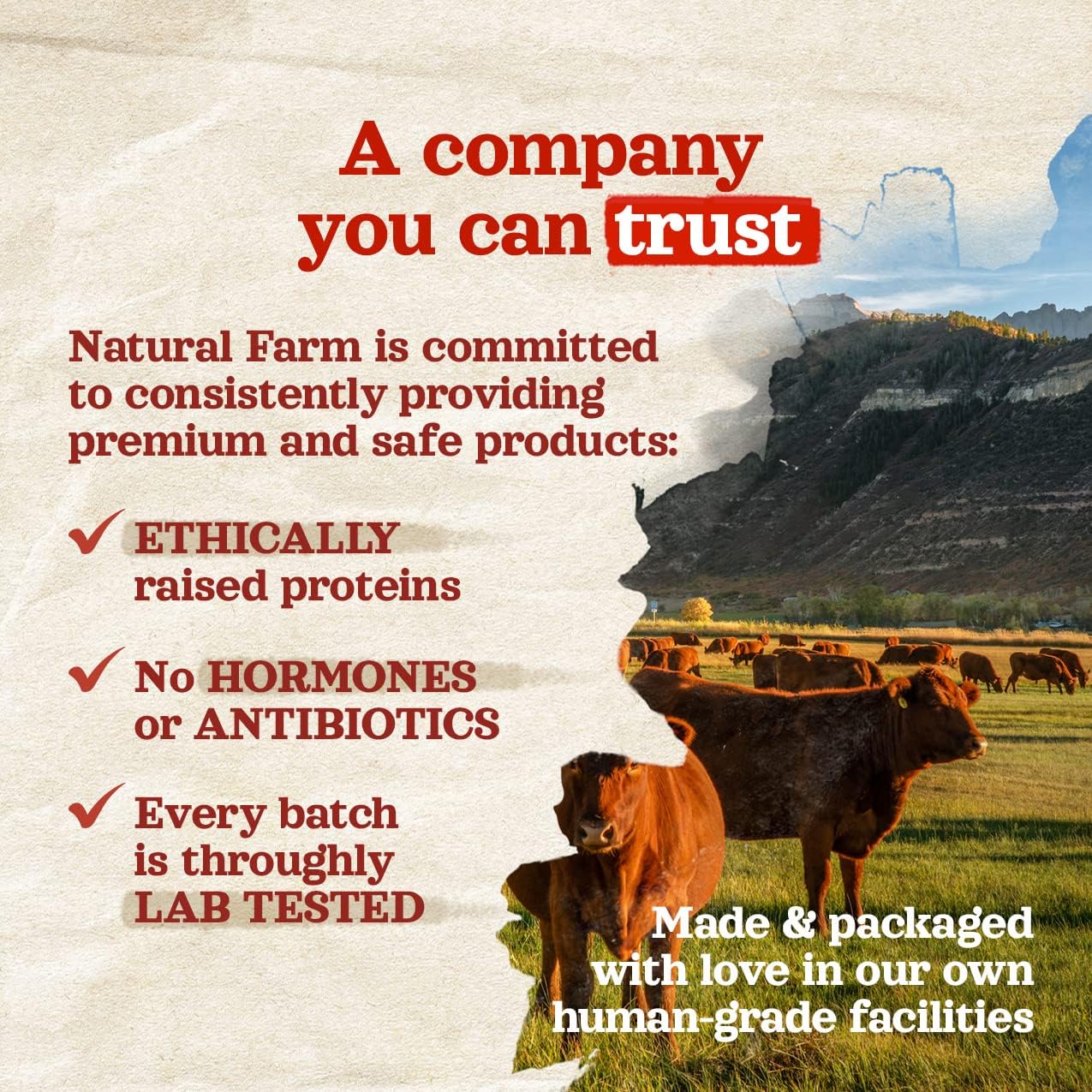 Solid Gold Healthy Weight Management Dry Dog Food for Adult & Senior Dogs - With Pollock, Whole Grain & Probiotics for Gut Health & Digestion Support - Dry Dog Food for Weight Management Support – 4LB