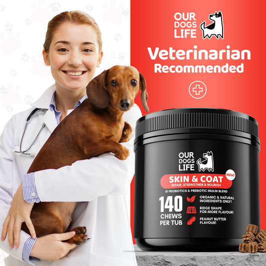 Skin & Coat Supplement for Dogs 140 Chews | for A Soft Silky Coat, Relieve Dry Skin | Veterinarian-Formulated | Essential Omega-3 EPA and DHA Blend | Non-GMO, No Fillers & Gluten Free