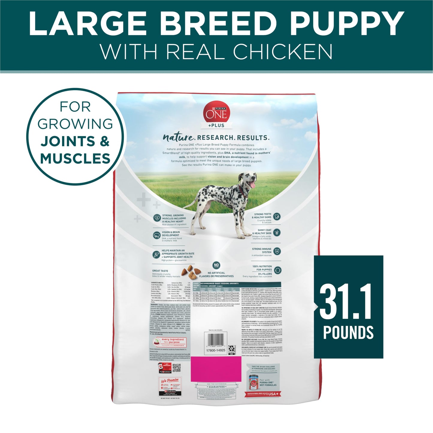 Purina ONE Plus Large Breed Puppy Food Dry Formula - 31.1 lb. Bag