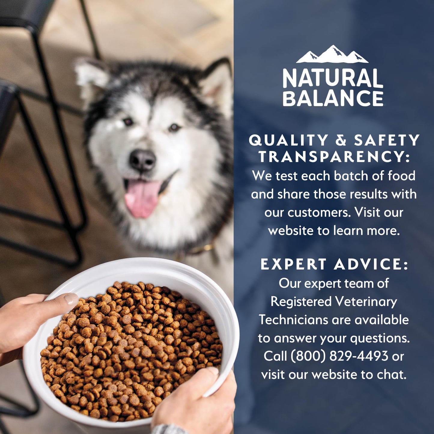 Natural Balance Health Protection Puppy Dry Dog Food – Whole Body Health, Easy on Digestion Dog Food Made with Chicken, Brown Rice & Pumpkin for Puppies - 4lbs.