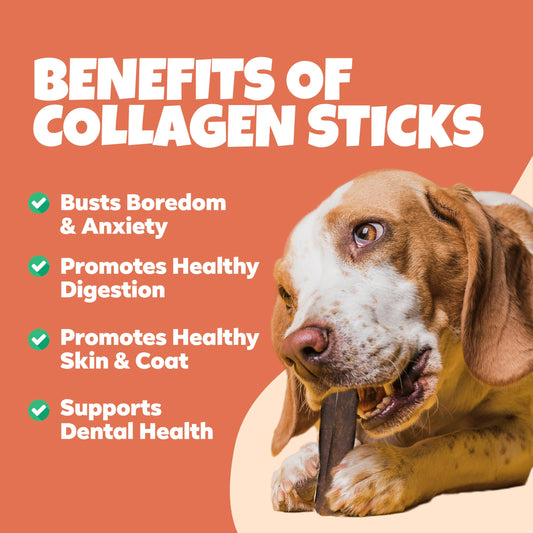 Benefit Pet Products Collagen for Dogs - Single Ingredient Dog Treat, Rawhide Free, Collagen for Dogs, Long Lasting Dog Chews (6 inch, 5 ct)