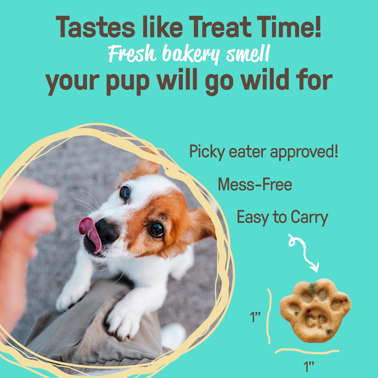 Cookie PAL Organic Soft Baked Treats for Dogs (Birthday Cake Vanilla Flavor), Human Grade Dog Biscuits, Low Calorie Puppy Training Treats, Perfect for Training Dog Treats, 8.8 oz (Pk of 3)