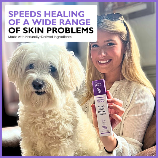 Vital Skin Therapy Spray for Dogs – Anti-Itch Spray for Dogs – Promotes Healing & Skin Repair – Soothing & Gentle First Aid with Aloe Vera, Oatmeal & Soothing Tea Tree Oil - 5.07 oz.