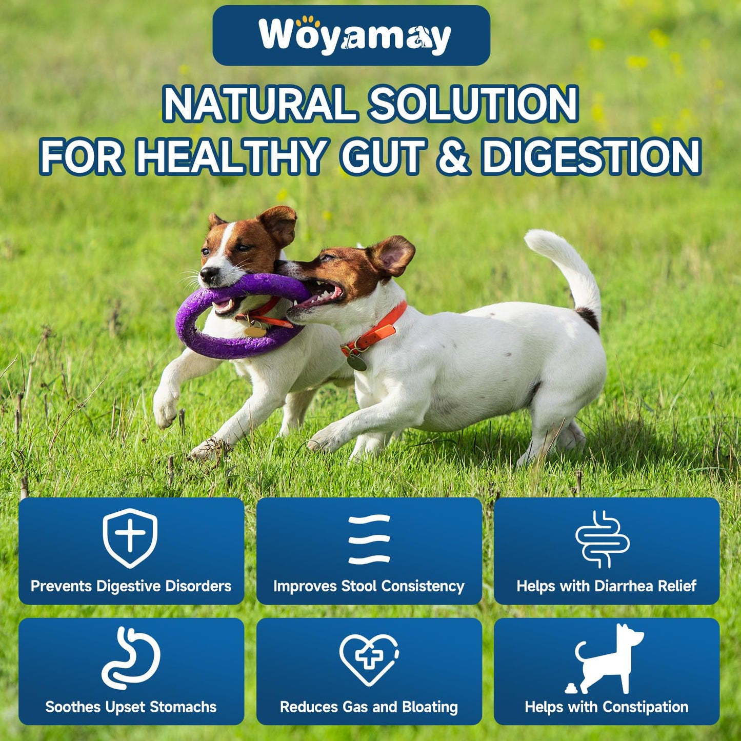 Woyamay 3-in-1 Dog Calming Diffuser & 200 Soft Probiotic Chews Bundle – Daily Support for Anxiety, Stress, Digestion & Immunity – A Soothing, Gut-Friendly Combo for a Healthier, Happier Pup