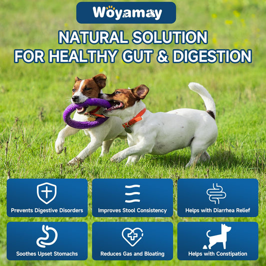 Woyamay 3-in-1 Dog Calming Diffuser & 200 Soft Probiotic Chews Bundle – Daily Support for Anxiety, Stress, Digestion & Immunity – A Soothing, Gut-Friendly Combo for a Healthier, Happier Pup