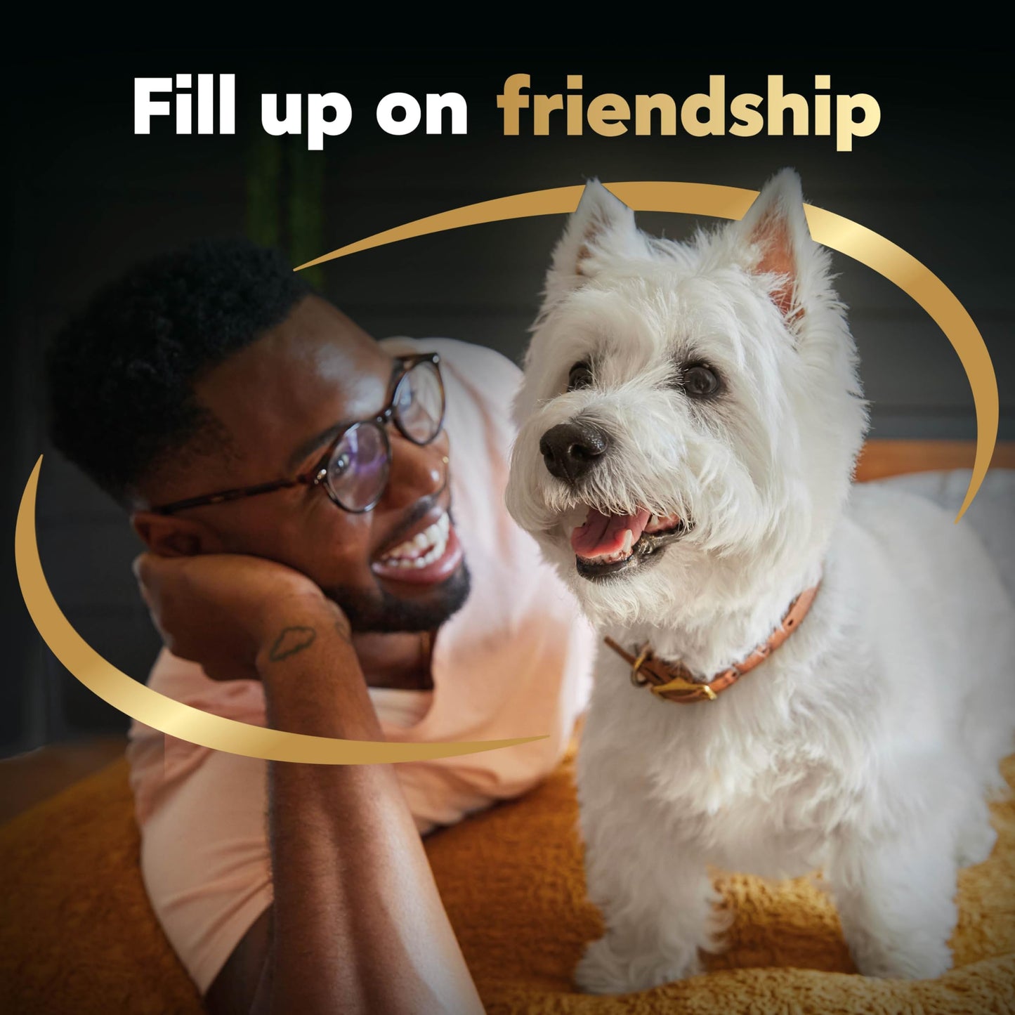 Cesar Small Breed Dry Dog Food Filet Mignon Flavor and Spring Vegetables Garnish, 12 lb. Bag