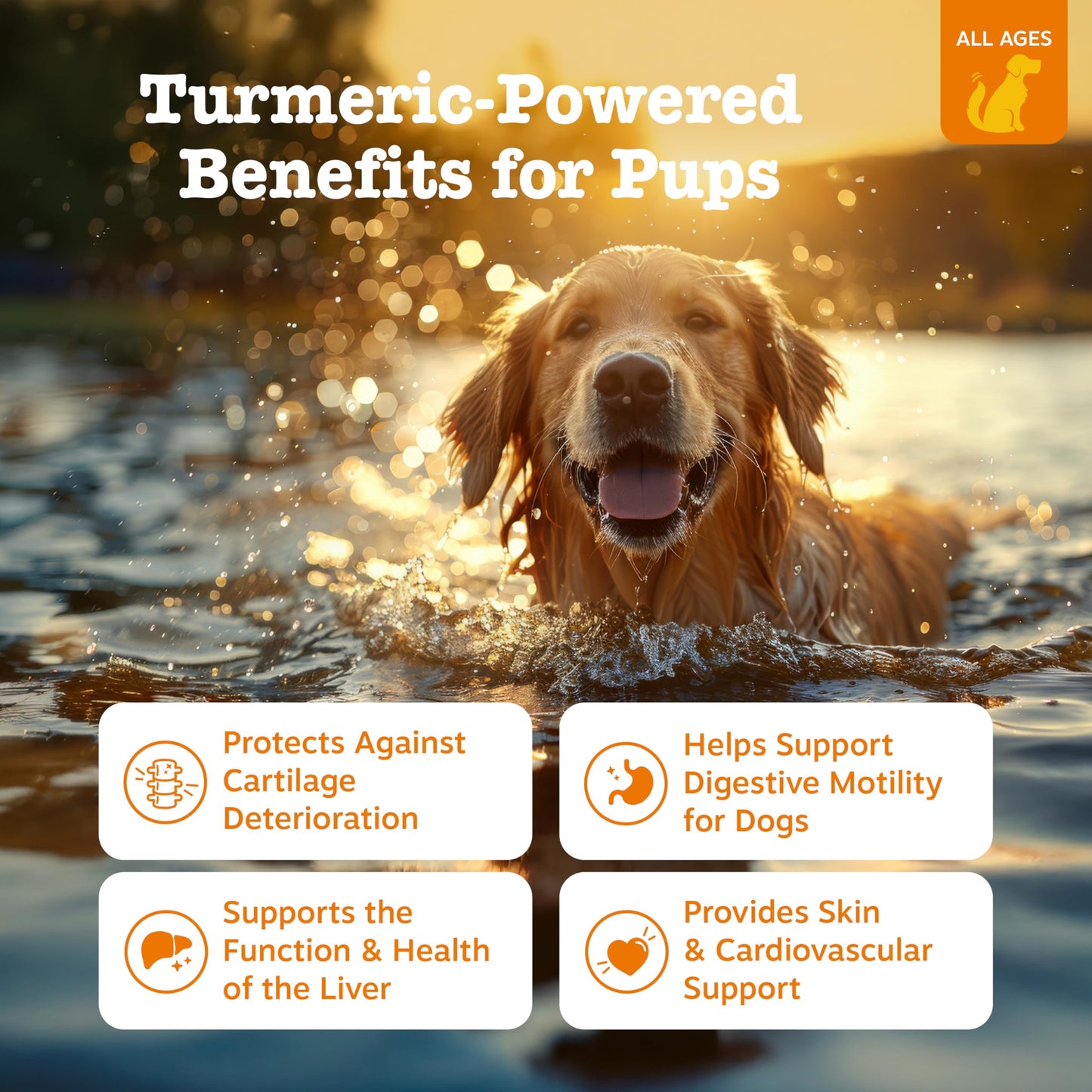 Zesty Paws Turmeric Curcumin for Dogs - for Hip & Joint Mobility Supports Canine Digestive Cardiovascular & Liver Health - Coconut Oil for Skin Health with 95% Curcuminoids + BioPerine Bacon, 90 Count