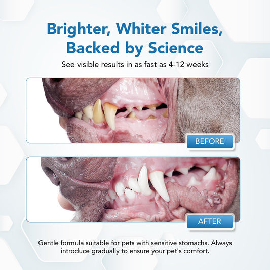 Spanielbuns Dental Powder for Dogs - Plaque Control & Tartar Remover, Breath Freshener with Probiotics, Vitamins & Natural Extracts - Perio Support Powder for Dogs, 2.82 oz (80g)