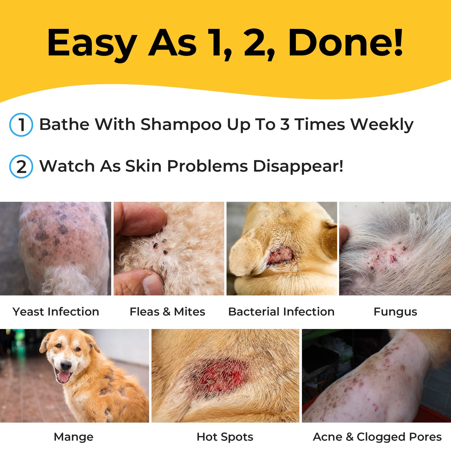 Smiling Paws Pets - Itch Relief Shampoo & Brush for Pets - Contains Benzoyl Peroxide - Kills Fleas - Relieves Allergies, Itching, Dermatitis, Mange, Dandruff, Acne, Demodex, Seborrhea, Pyoderma - 12oz