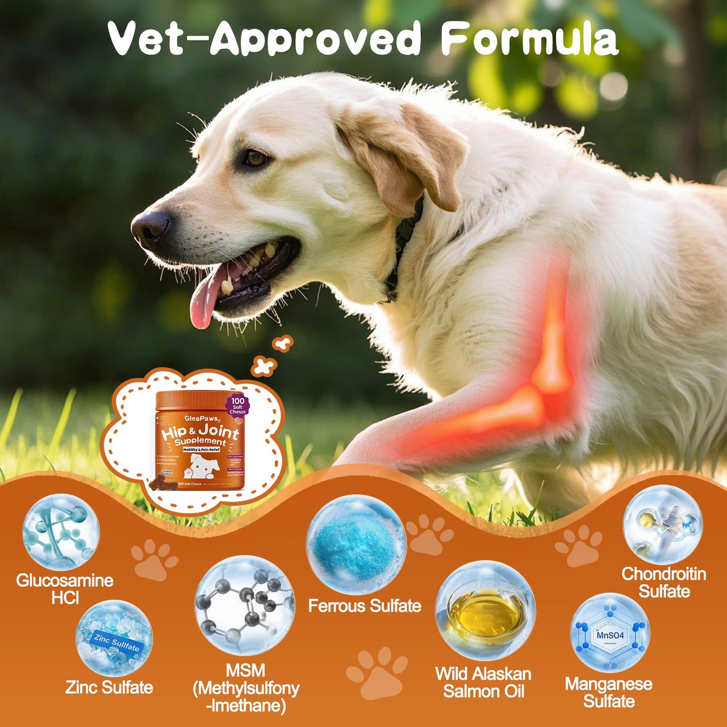GleaPaws Hip & Joint Supplement Chews for Dog Joint Pain Relief - Glucosamine, Chondroitin, MSM for Dog Joint Collagen - Mobility Support for Senior, Large & Small Dogs - 100 Chews, Store in Dry Place