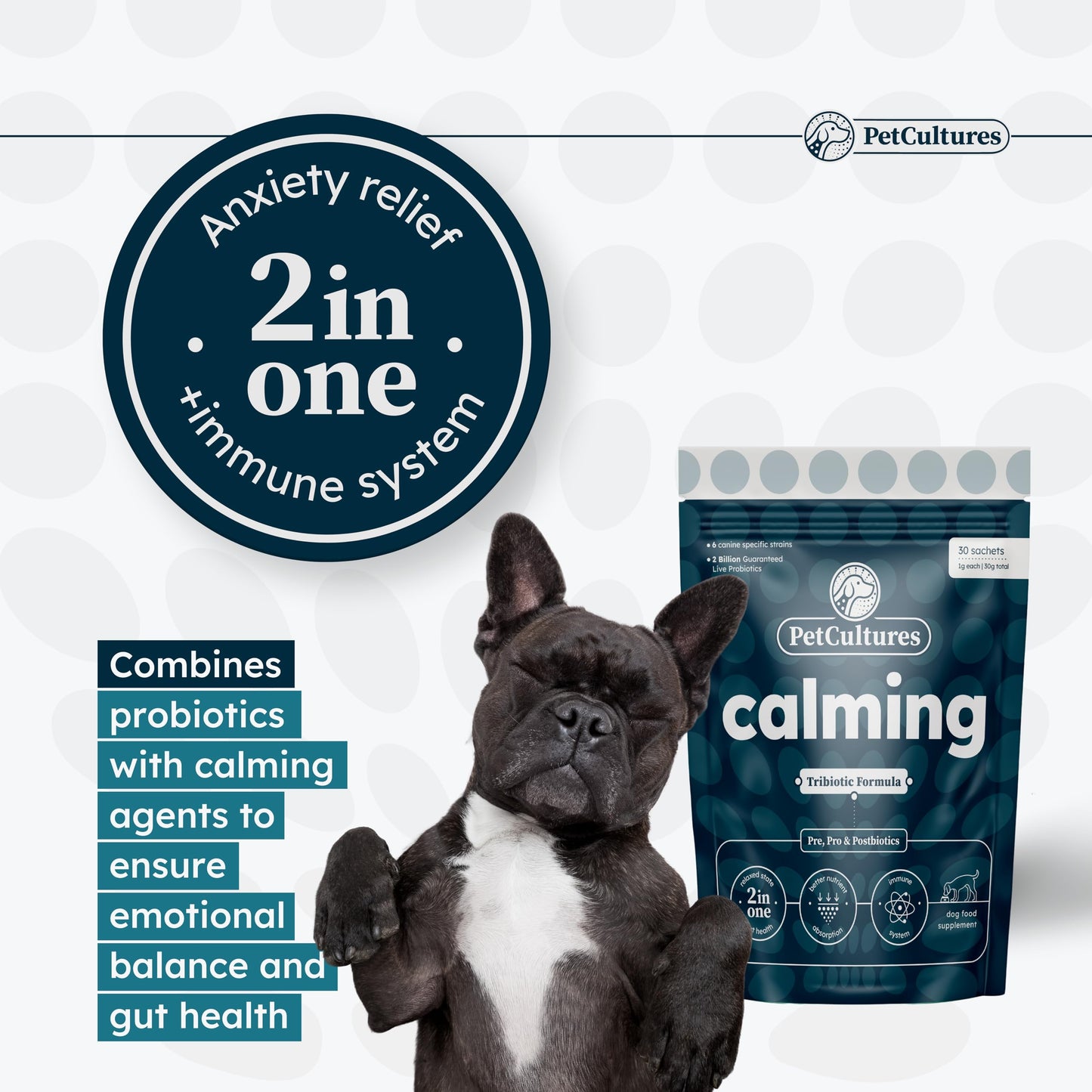 PetCultures Calming Synbiotic Formula - with L-Theanine, L-Tryptophan, Probiotics, and B-Vitamins in 30 Packs