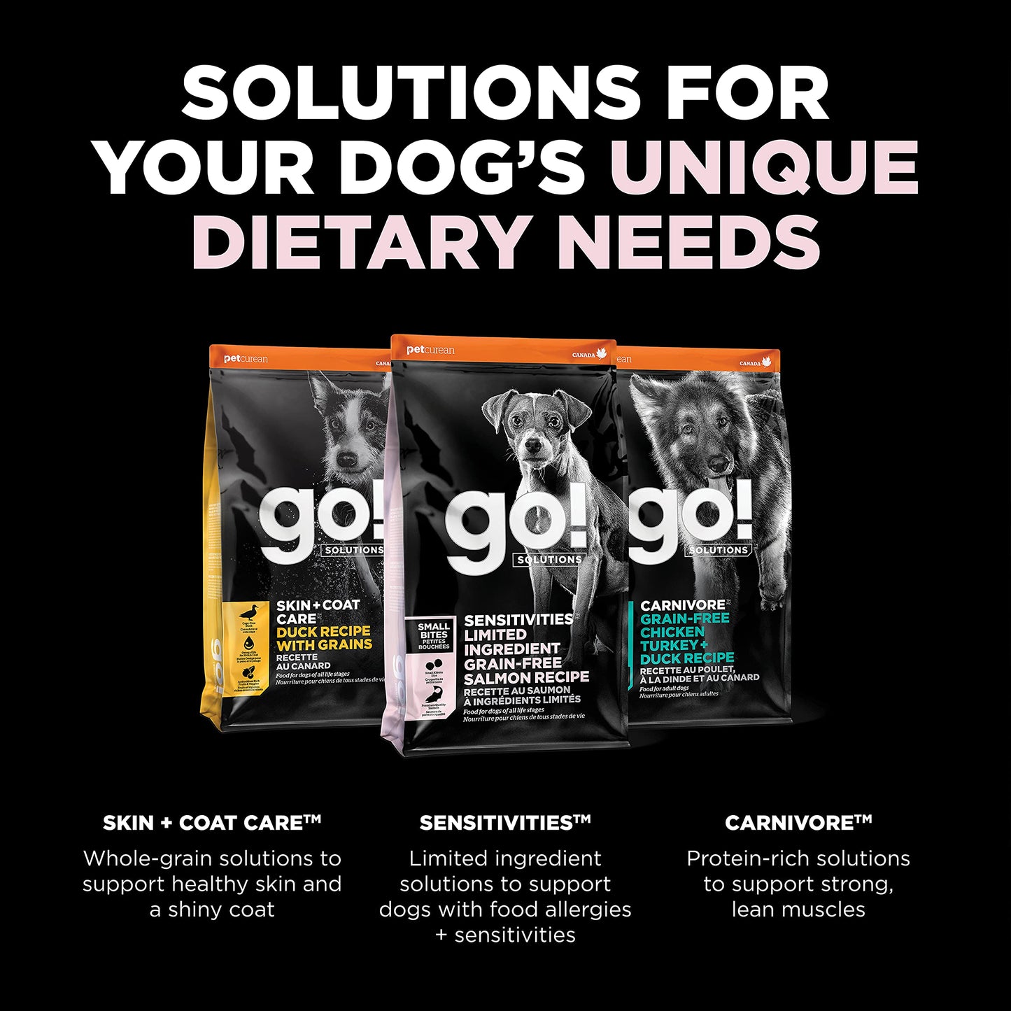Go! Solutions Sensitivities Limited Ingredients, Grain-Free Dry Dog Food, Small Bites Salmon Recipe for Sensitive Stomach, 22 lb Bag