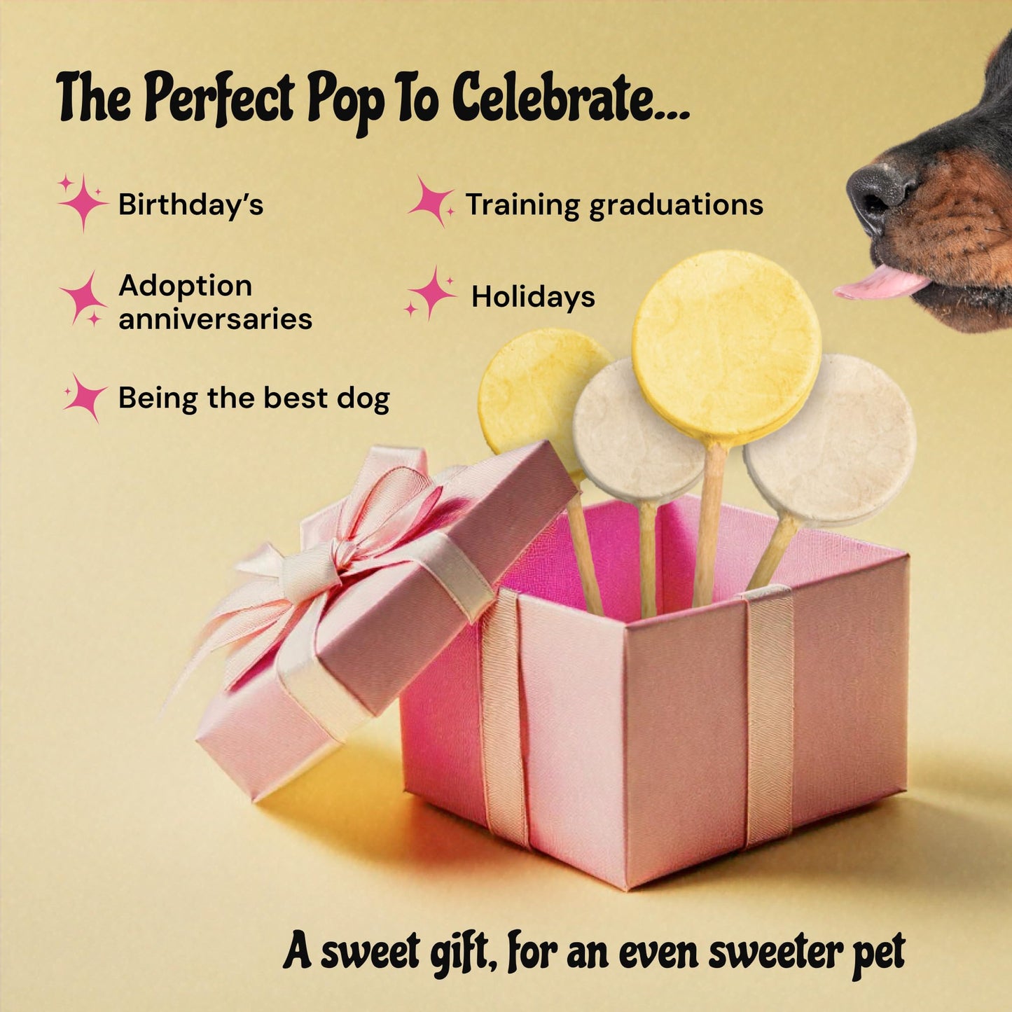 MalsiPree Lollipop Freeze Dried Dog Birthday Treats - Low Calorie, High Protein Chicken Recipe with Digestion Friendly Pumpkin & Goat Milk - Dog Treats for Birthdays & Puppy Training (8 Pack)