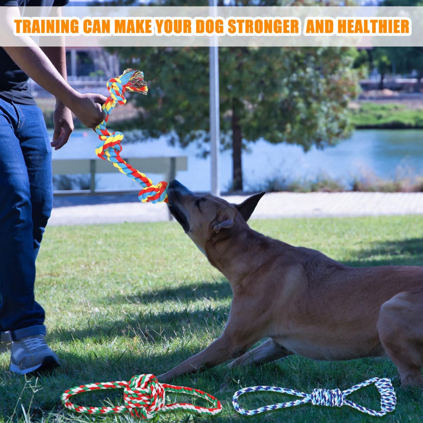 Leyndo 40 Pack Dog Chew Toys for Aggressive Dogs Plush Squeaky Rope Toys for Medium and Large Breed Pet Tug of War Teething Chew Tug