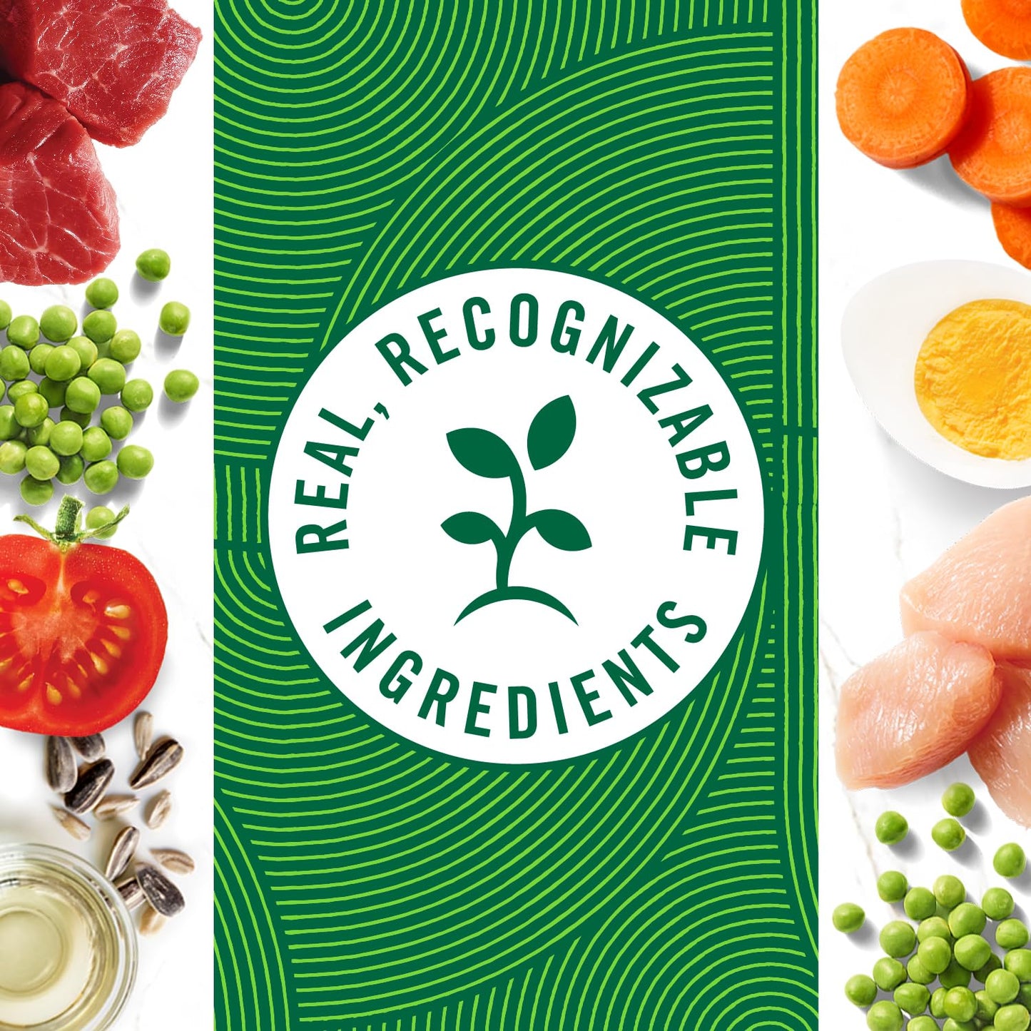 Nutro Hearty Stew Adult Natural Grain Free Wet Dog Food Cuts in Gravy Chicken Beef Variety Pack, 12.5 oz Cans (12 Count, Pack of 1)