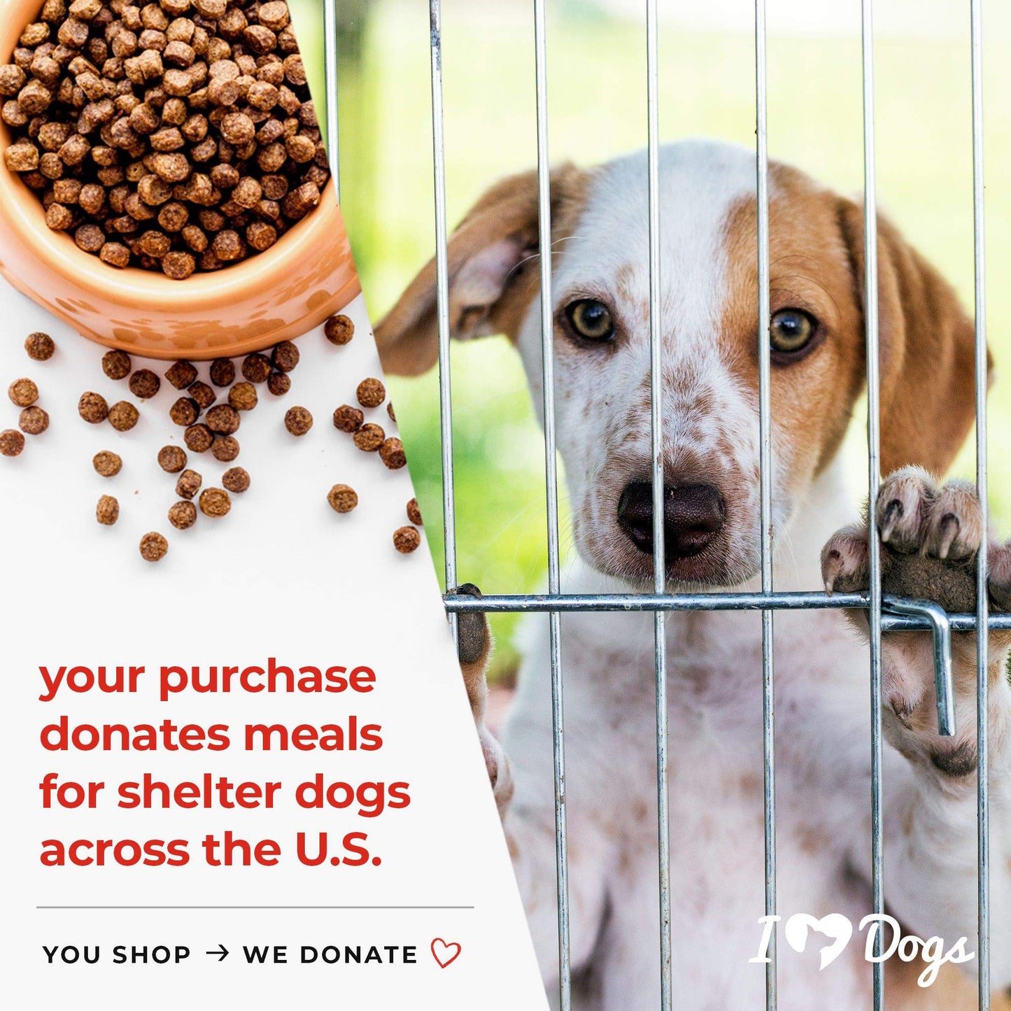 iHeartDogs Dog Food Topper - Freeze-Dried Raw Dog Food Seasoning with Collagen Peptides - Grain Free Superfood Meal Mixer (Chicken, 3 Ounce)