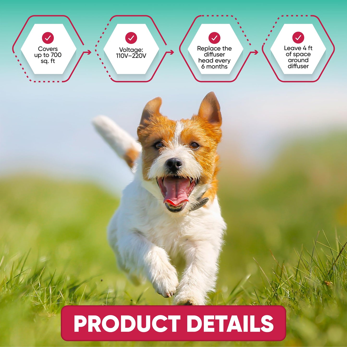 TriOak Pheromone Diffuser for Dogs: Advanced Dog Calming Diffuser - Calming Pheromones for Dogs - Dog Appeasing Pheromone for Dog Anxiety Relief, 2 Diffusers + 4 Refills (Teal)