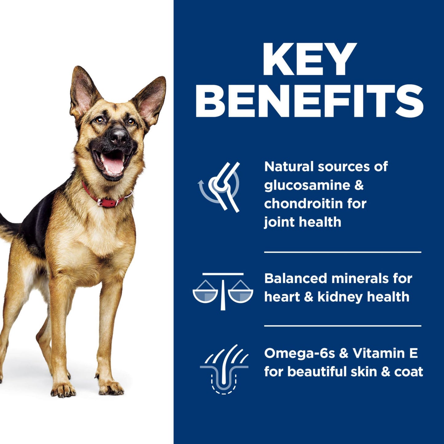 Hill's Science Diet Large Breed Senior Dry Dog Food Adult 6+, Quality Protein for Joint Support & Lean Muscles, Chicken Recipe, 15 lb. Bag