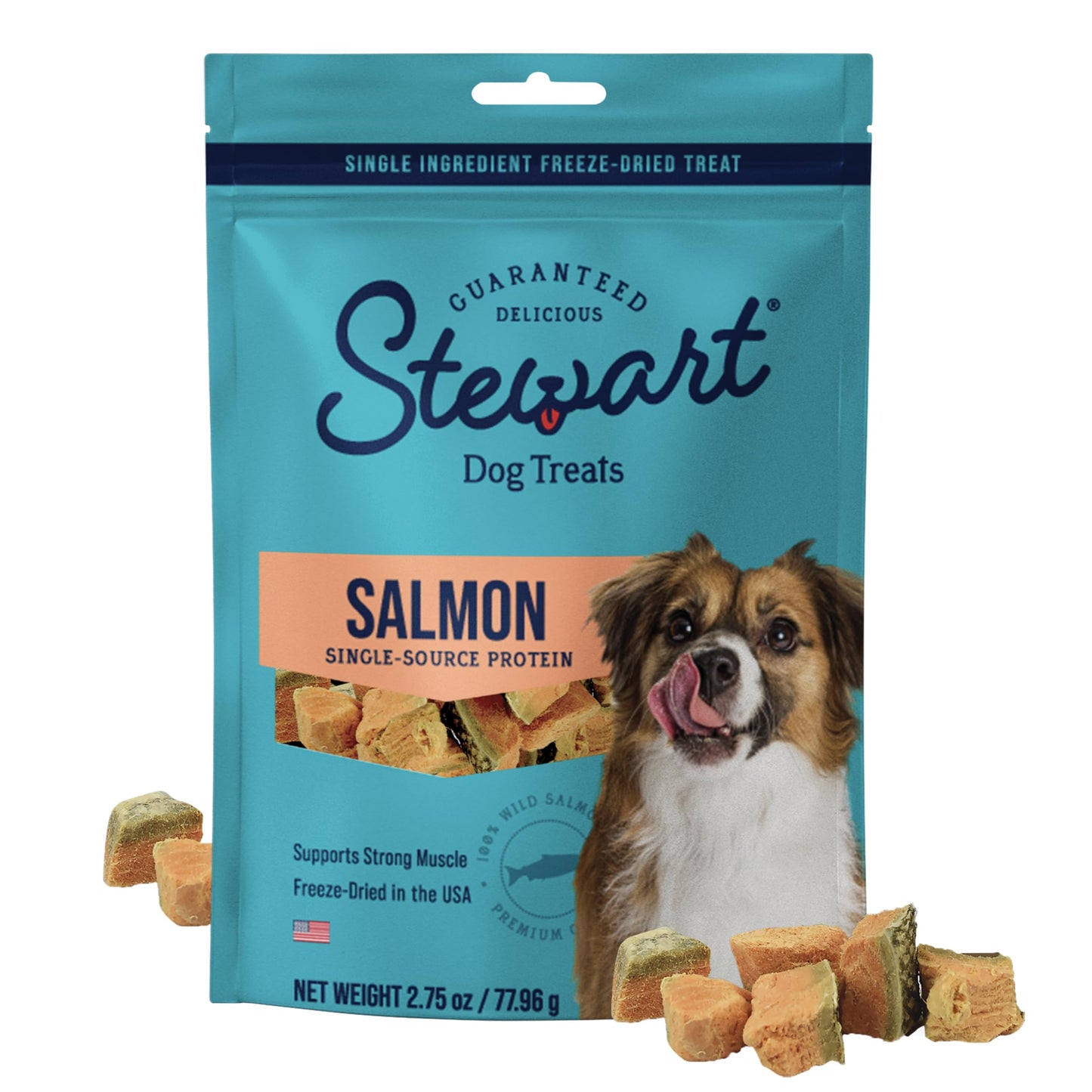 Stewart Single Ingredient Freeze Dried Raw Dog Treats, Wild Salmon, 2.75 Ounce, Approx. 55 Pieces per Resealable Pouch, Training Treats or Meal Topper, High Protein, Grain Free, Gluten Free