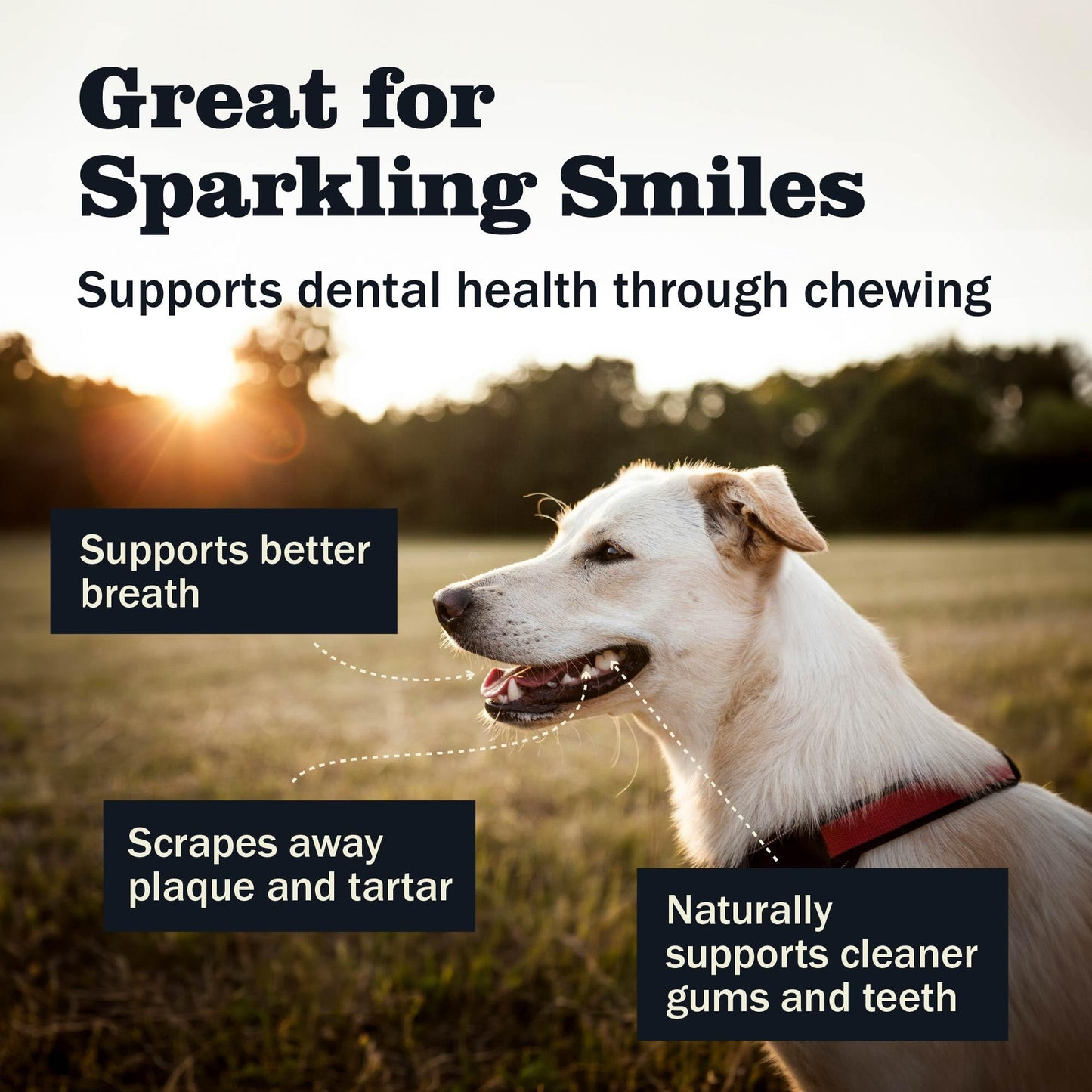 Redbarn Bully Slims Esophagus Dog Treats – 4.7 oz Bag – Single Protein Made with Natural Beef Esophagus, Slow-Roasted for Maximum Flavor – No Rawhide, Highly Digestible Chew, Gluten-Free