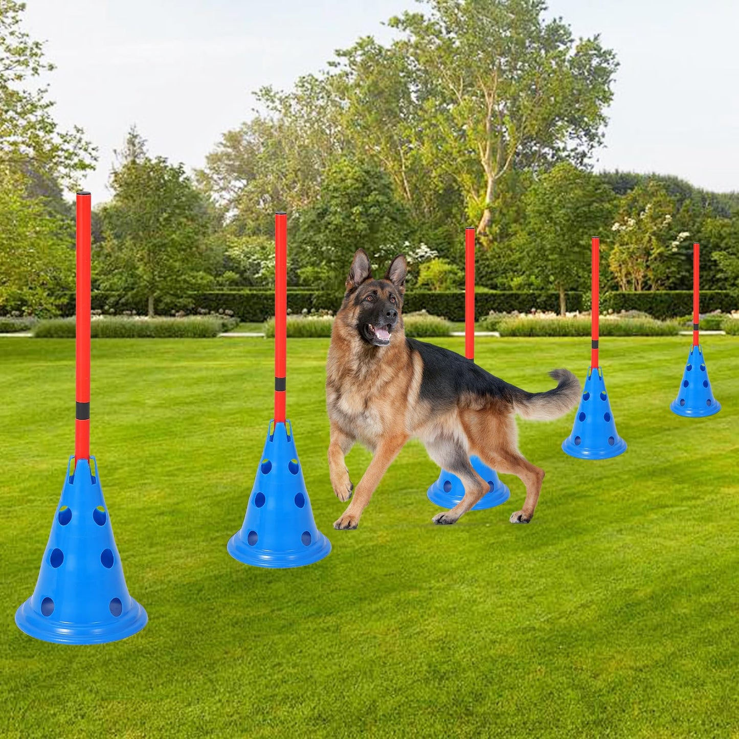 MegaChoice Speed Agile Hurdle Cone Set, 6 PCS Training Kit with 12 Cones & 6 Agile Rods Combo, Dog Agile Equipment with Carry Bag