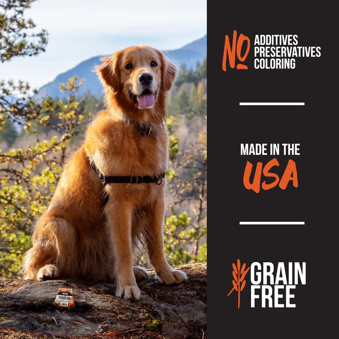 Scott Pet Grillerz 2-3 inch Beefy Bone, 1 Count, Rawhide Free, All Natural Treat for All Breeds, Long Lasting, Easy to Digest, Dog Chew for Healthy Teeth