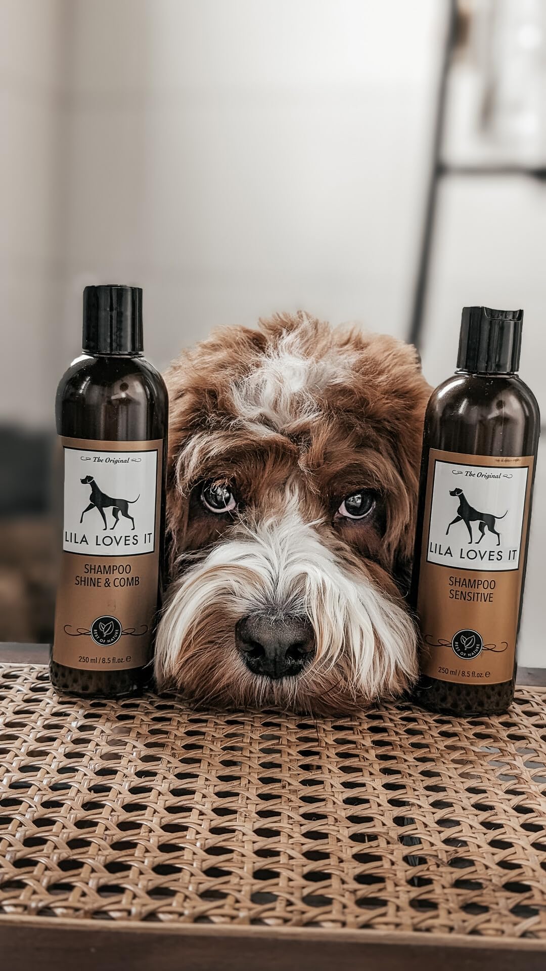 LILA LOVES IT Shampoo Sensitive for Dogs - Dog Shampoo with Aloe Vera, Almond Oil, Calendula and Camomile, moisturizing, Soothing and Gentle, 250 ml