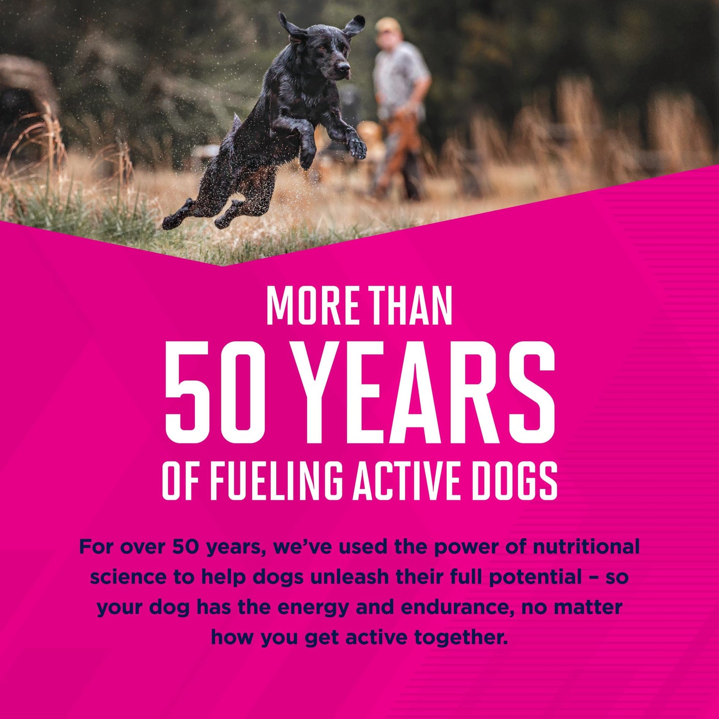 EUKANUBA™ Premium Performance 26/16 Exercise Dry Dog Food, 40 lb