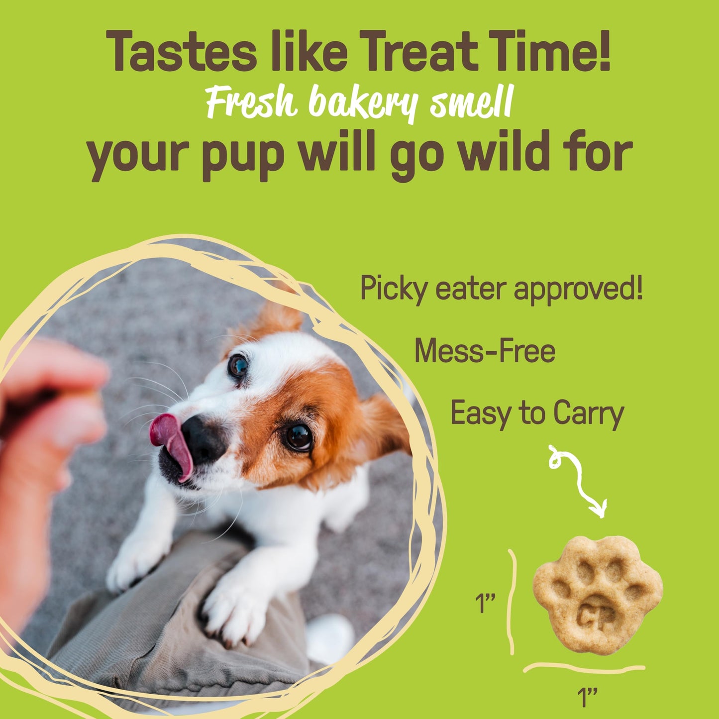 Waggin' Train Salmon Jerky Tenders for Skin & Coat Support for Dogs - 12 oz Pouch - Grain Free, High Protein Dog Treat