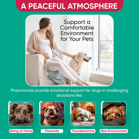 TriOak Pheromone Diffuser for Dogs: Advanced Dog Calming Diffuser - Calming Pheromones for Dogs - Dog Appeasing Pheromone - Dog Calming Diffuser for Dog Anxiety Relief, 2 Pack (Mint Blue)