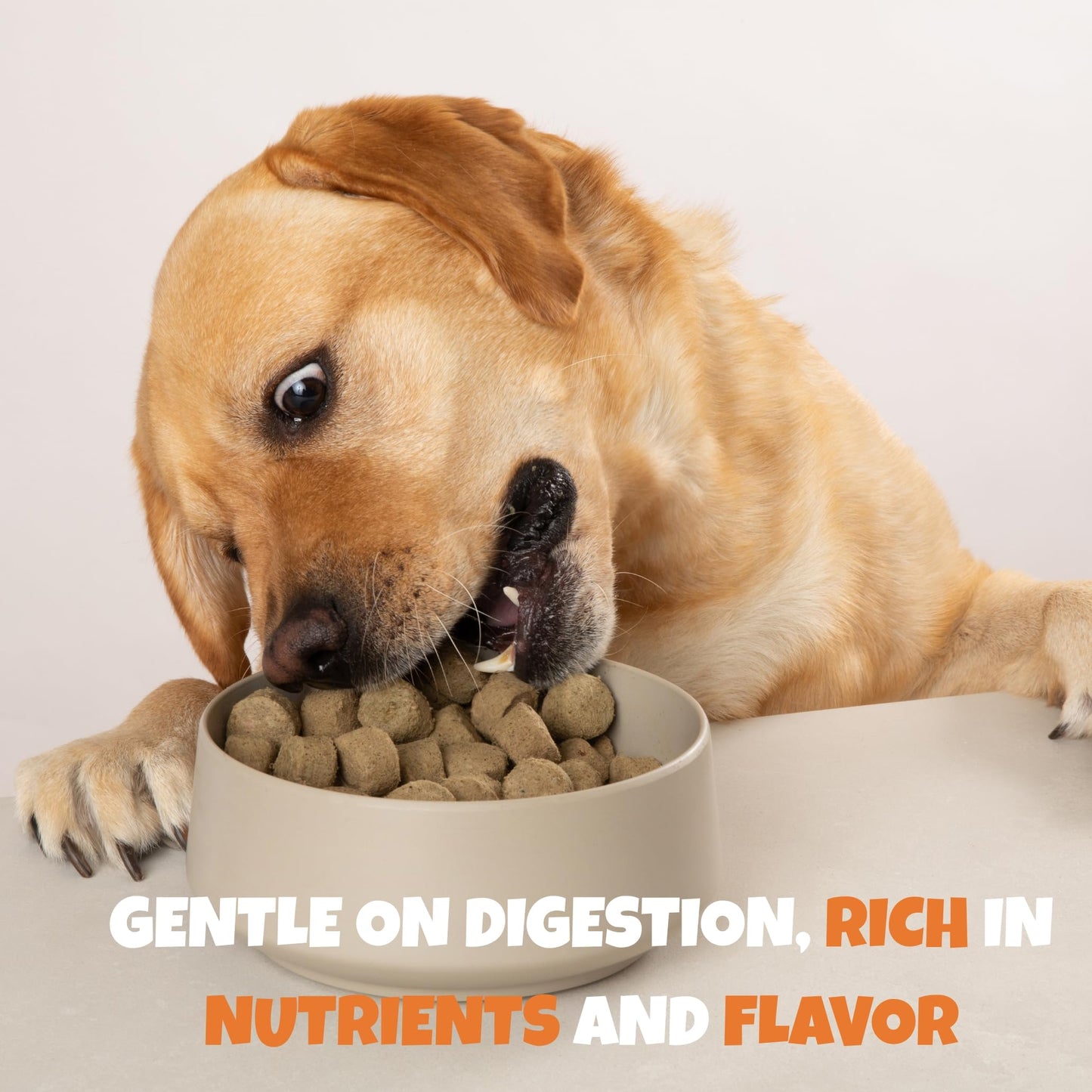 Visionary Pet Foods Chicken Freeze Dried Dog Treats - 310x Medallions Keto and Diabetic Friendly - Additive Free, Made in USA Low Carb, High Protein - Healthy Dog Training Treats, Resealable Bag