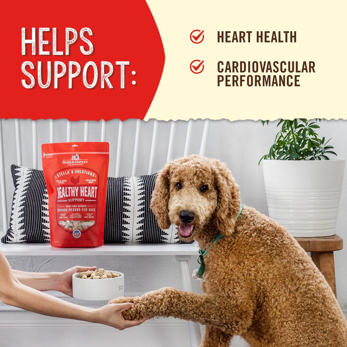 Stella & Chewy's Freeze-Dried Raw Dog Food for Heart Health - Cage-Free Chicken - Natural Solution for Cardiovascular Support & Energy - Premium Raw Nutrition - 13oz