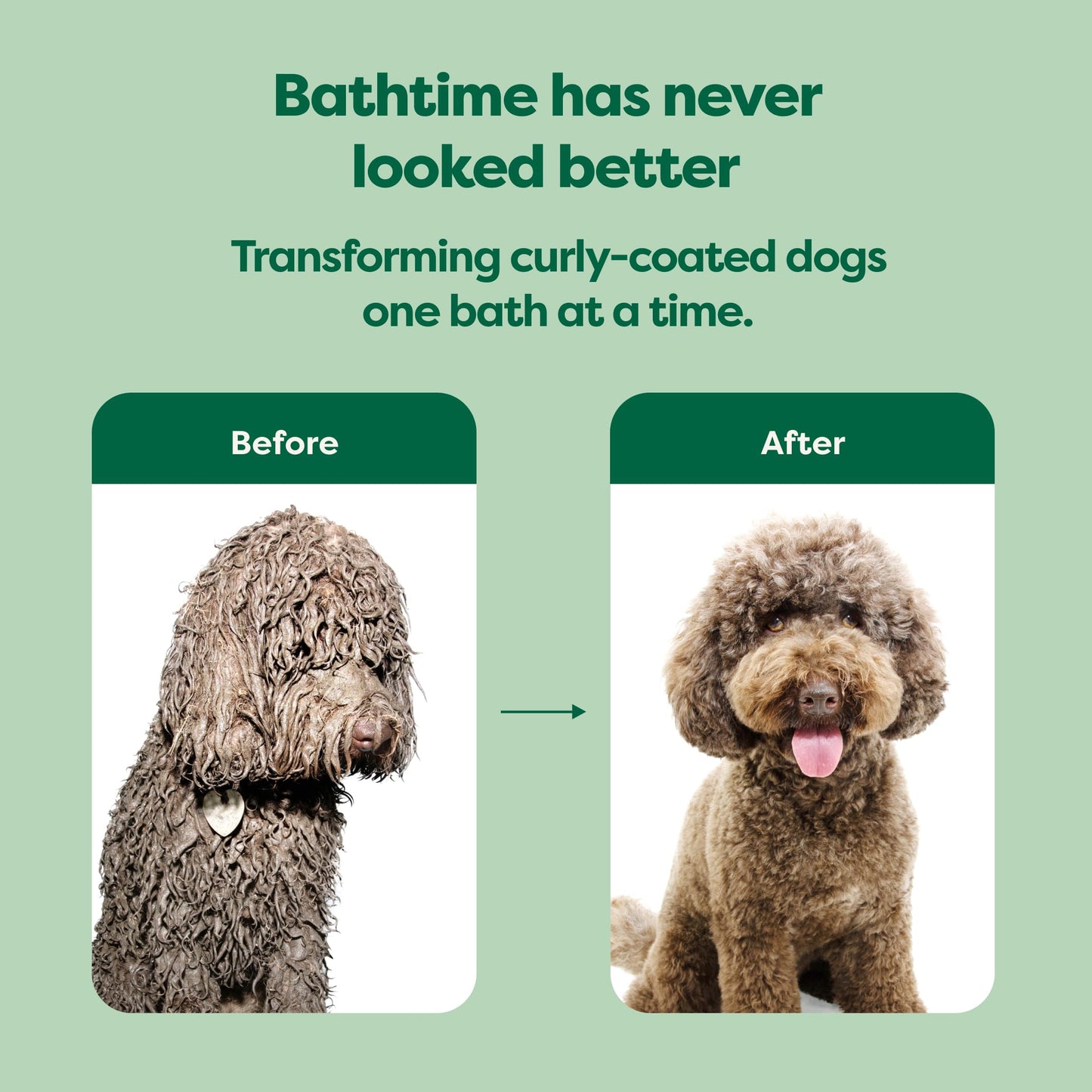 Earth Rated Curly Coat Essentials - Dog Shampoo, Grooming Wipes, Refresh Mist, Ear Wipes & No-Rinse Shampoo