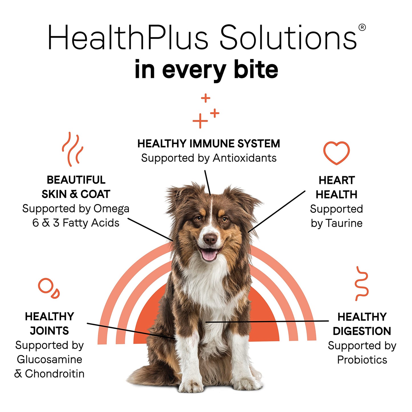 Canidae Under the Sun Premium Dry Dog Food For Puppies, Adults and Senior Dogs, Chicken Recipe, 40 Pounds, Grain Free