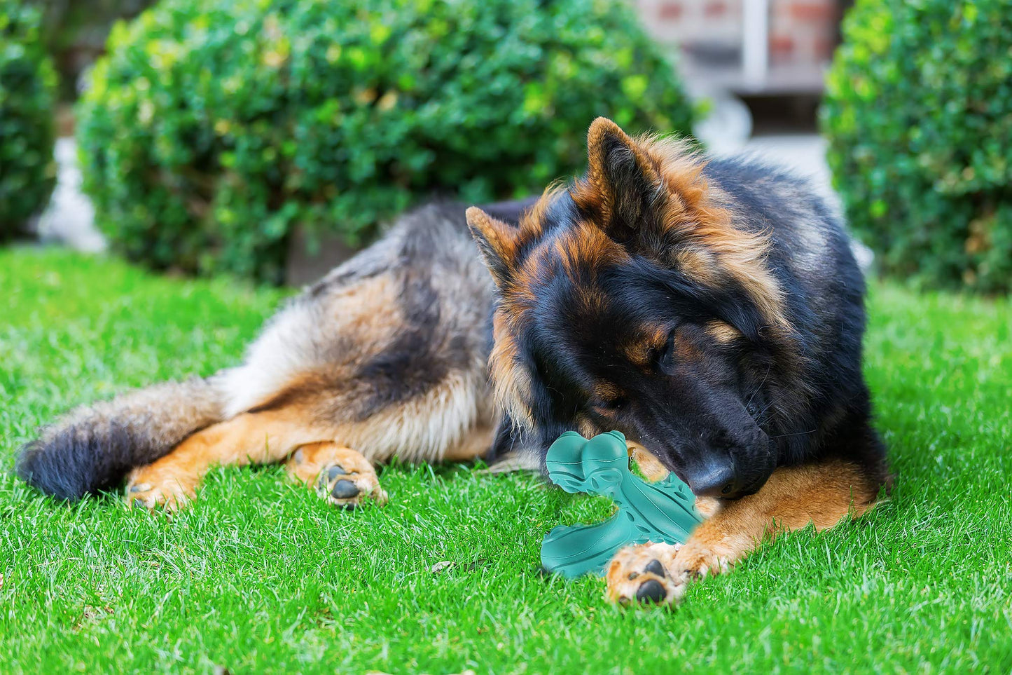 CVALIN Dog Chew Toys for Aggressive Chewers Large Breed,Indestructible Bones Toy，Durable Cleaning Toothbrush Natural Rubber Dog Toys… (Blue)